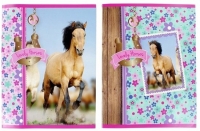 4 Schriften 'Lovely Horses'